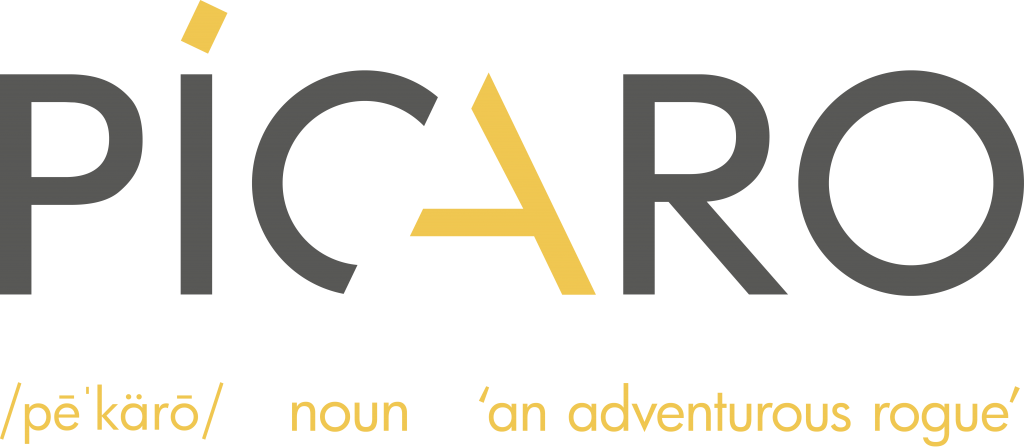 Picaro Logo with definition